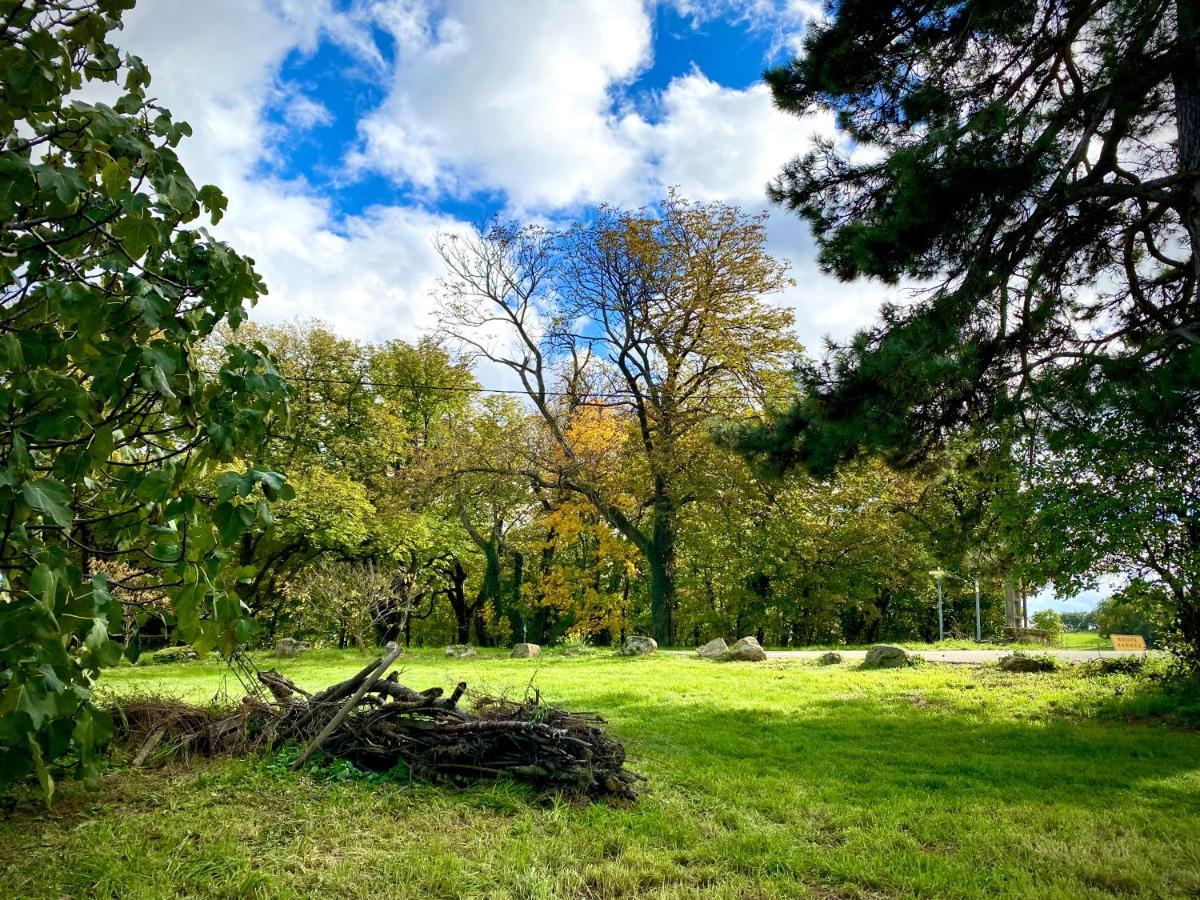 Gite De Corsas Saint-Victor  Dış mekan fotoğraf